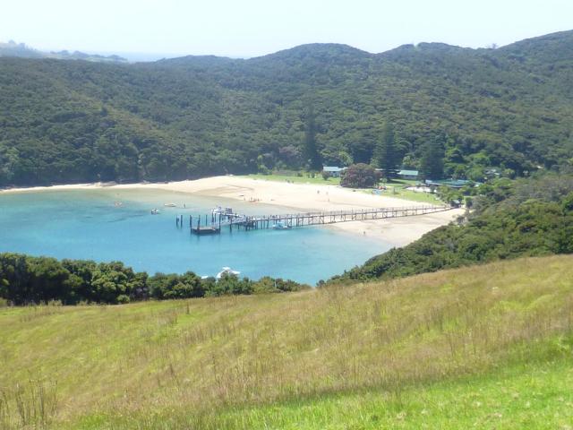 Bay of Islands Jan 2015




