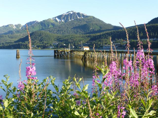 Seattle & SE Alaska, July 2013


