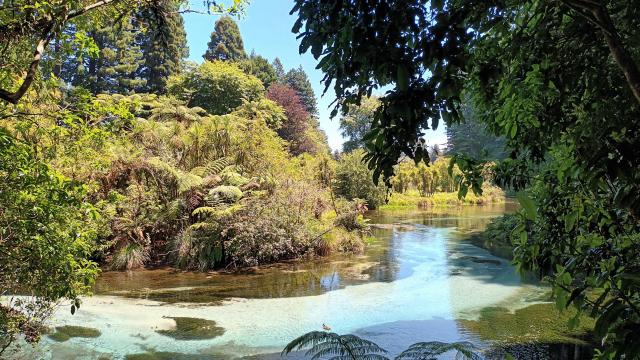 Tauranga 2024-25






